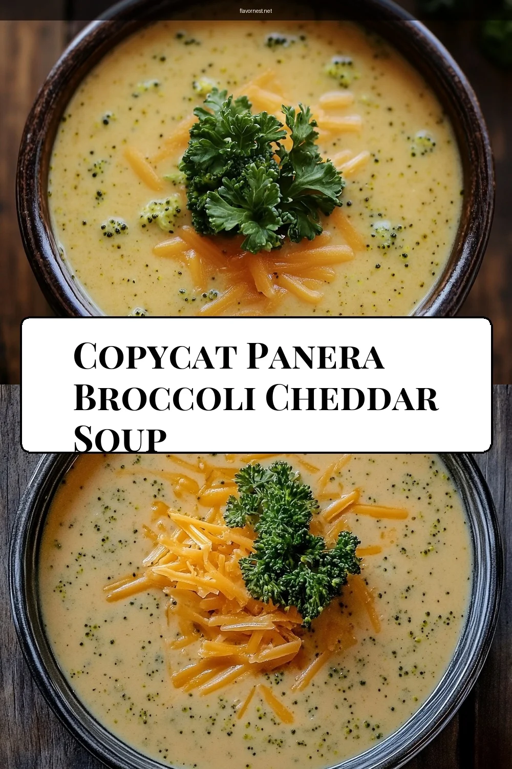 copycat panera broccoli cheddar soup pin