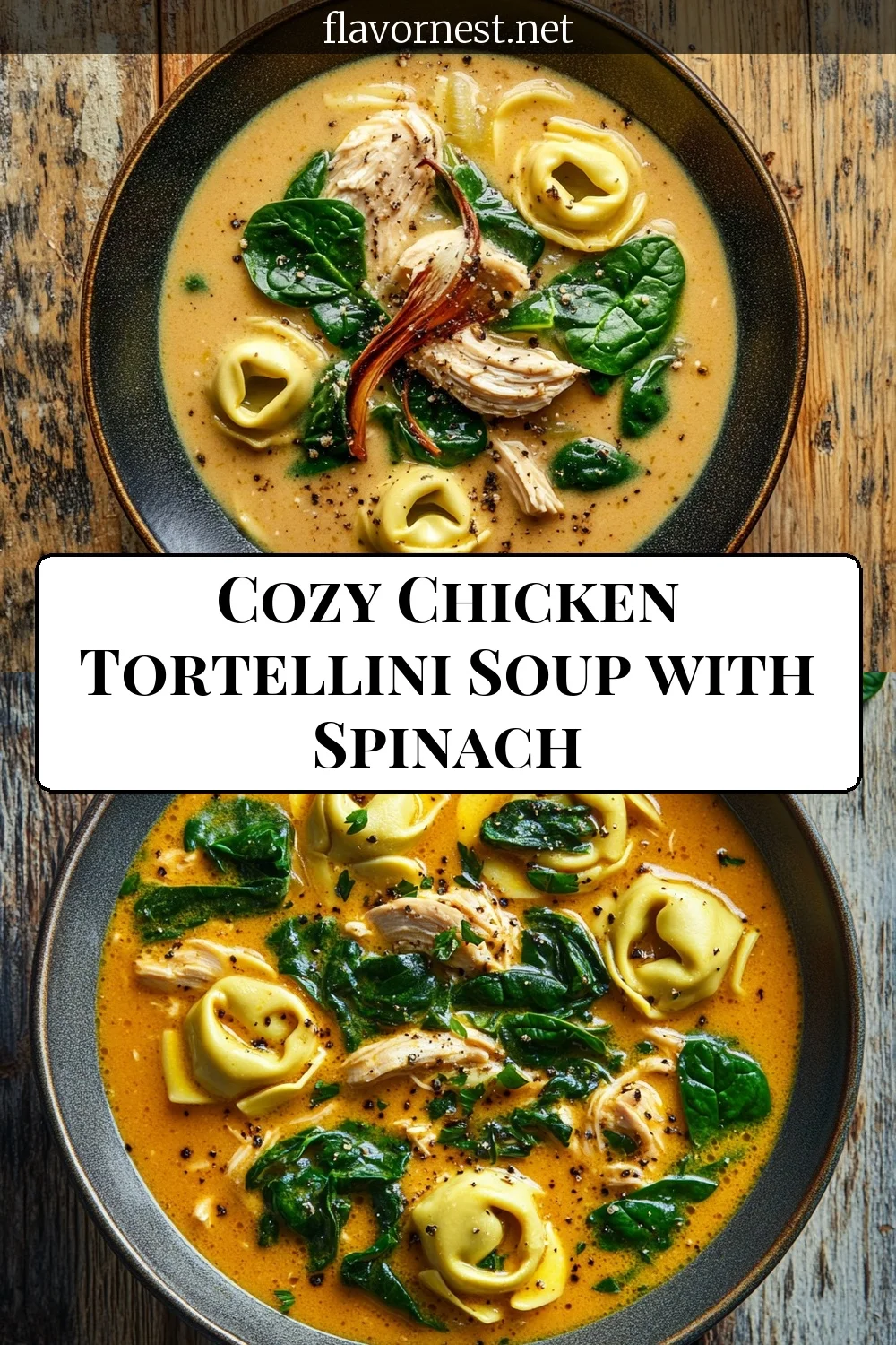 cozy chicken tortellini soup with spinach pin