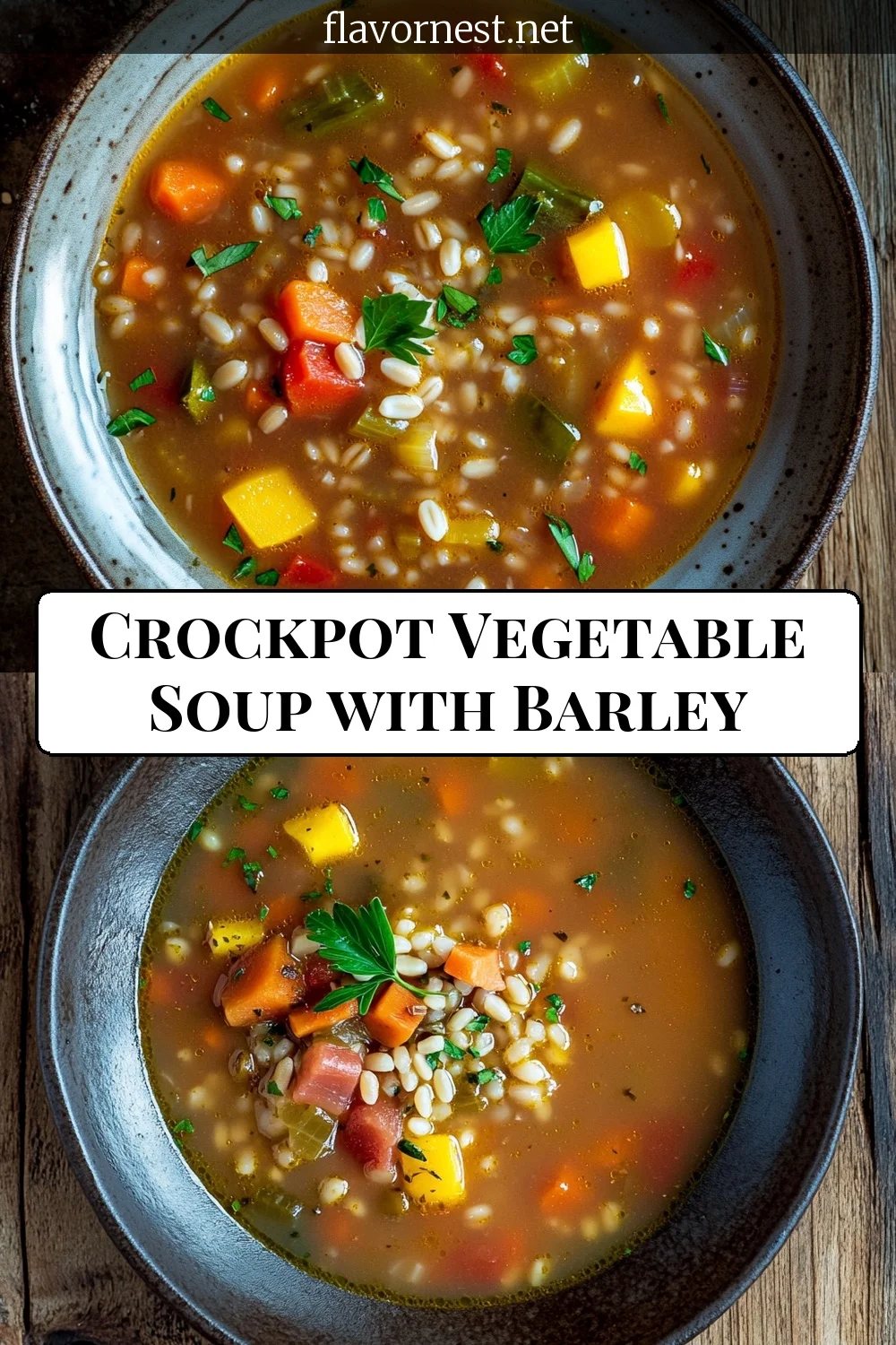 crockpot vegetable soup with barley pin