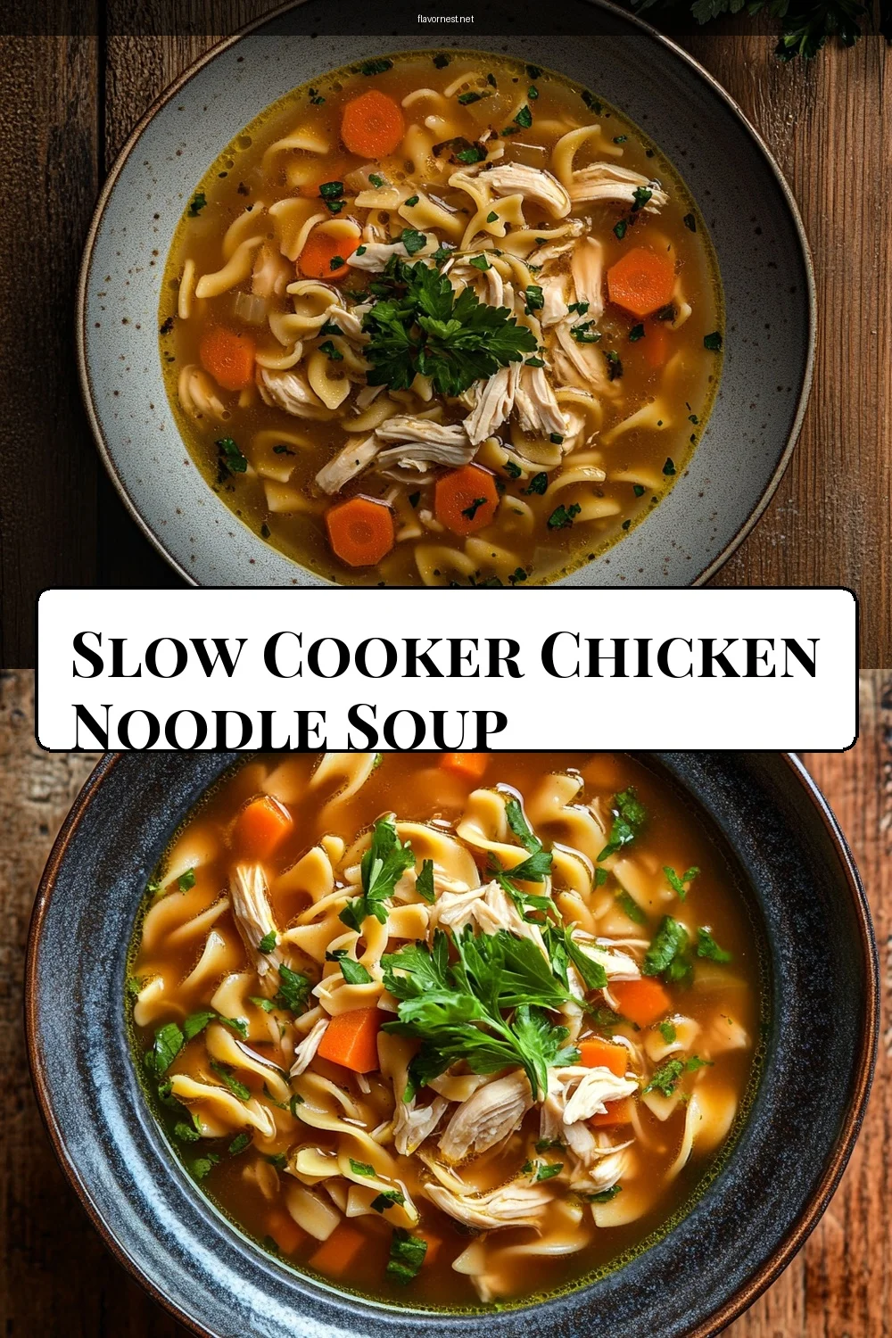 slow cooker chicken noodle soup pin