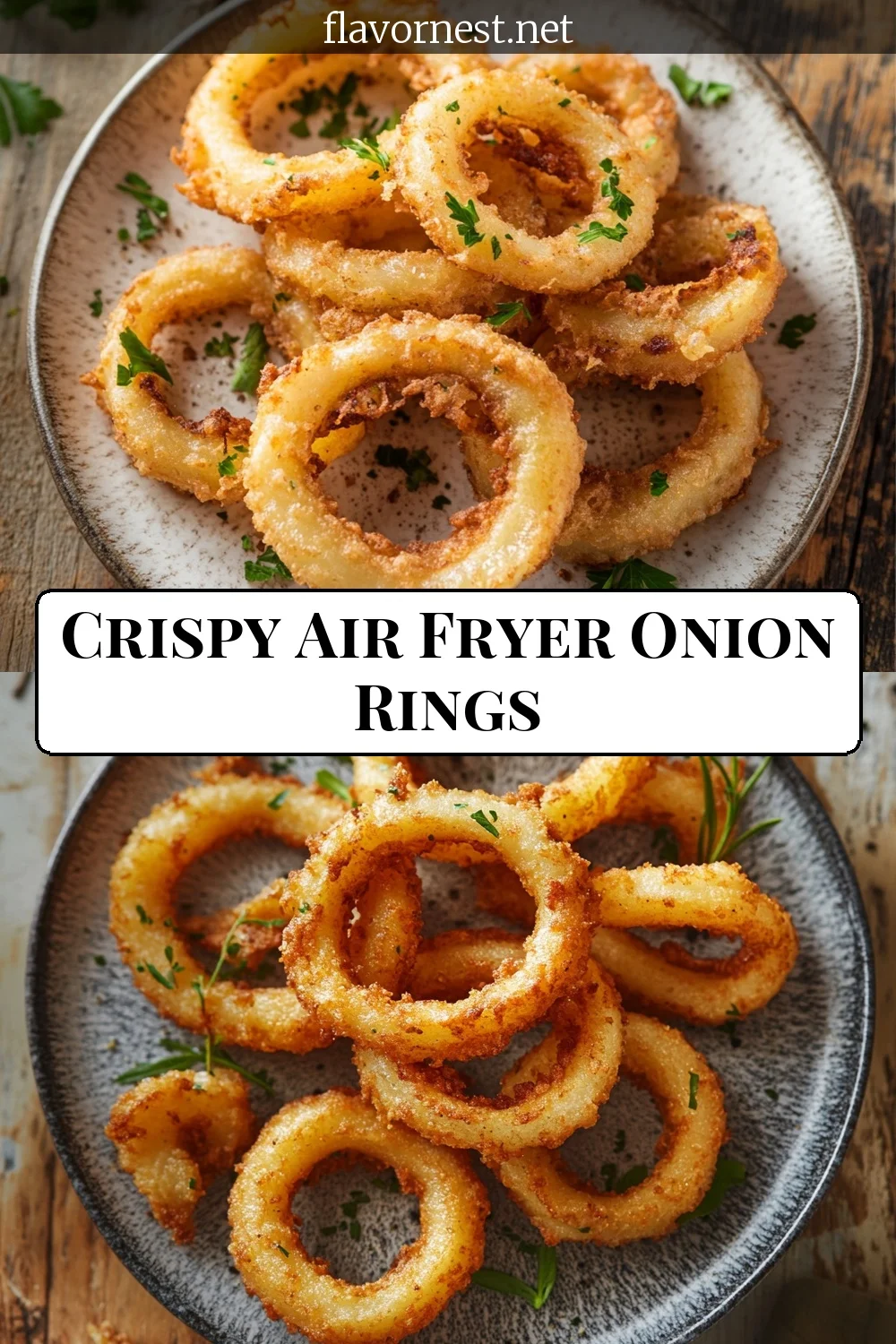 air fryer onion rings pin