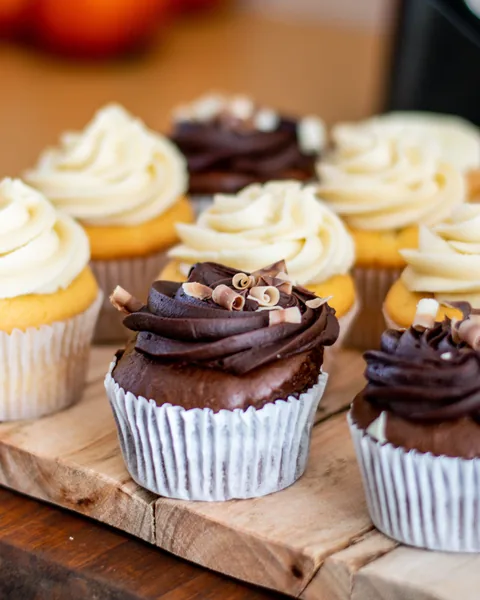 Chocolate and vanilla frosted cupcakes — cupcake recipes