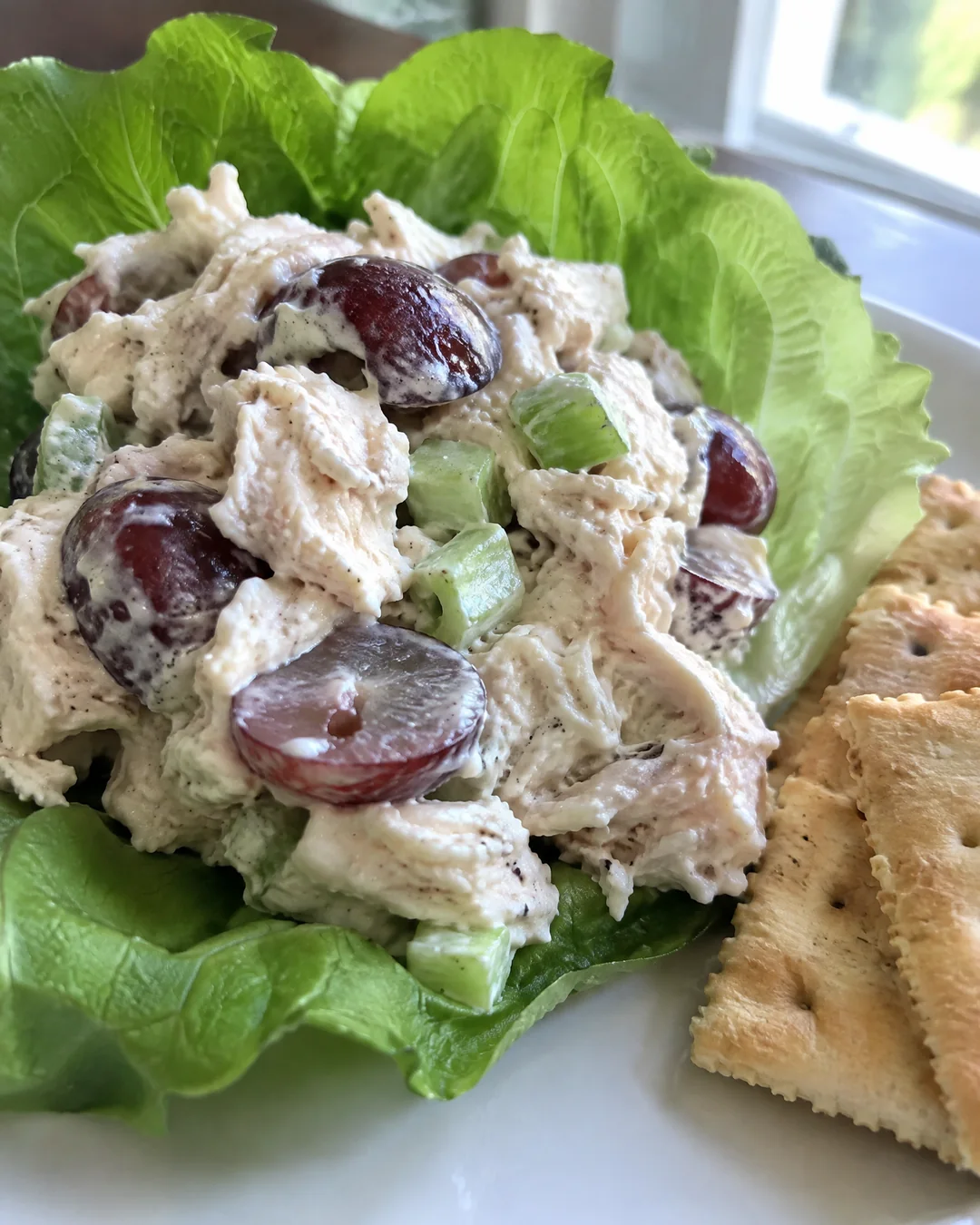 Chicken salad piled on a lettuce leaf with saltines on a white plate