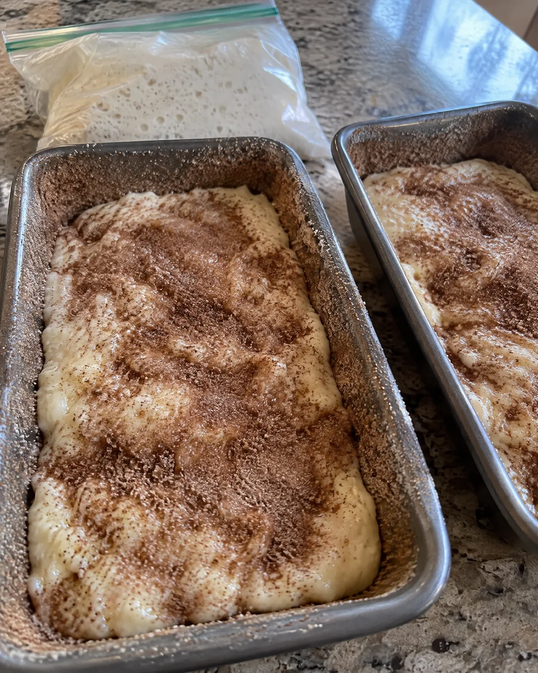 Two loaf pans dusted with cinnamon sugar and filled with friendship bread batter before baking