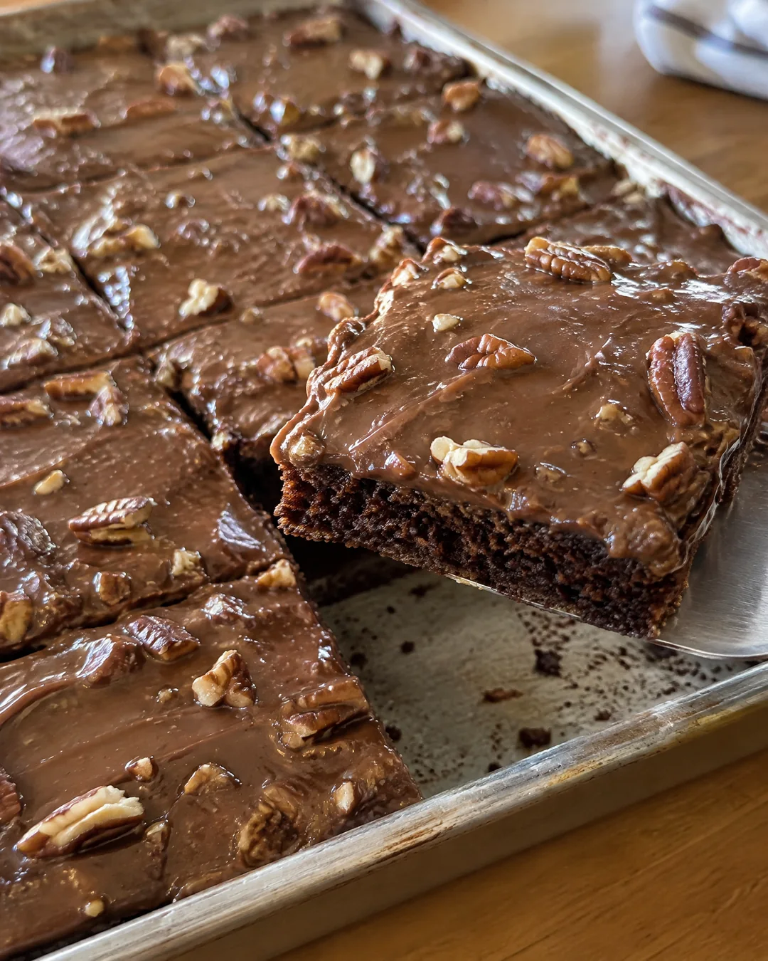 Squares of Texas sheet cake cut in the pan with glossy fudgy frosting